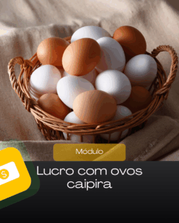 Roxo e Branco Moderno Razões para Investir em Anúncios Post para Instagram